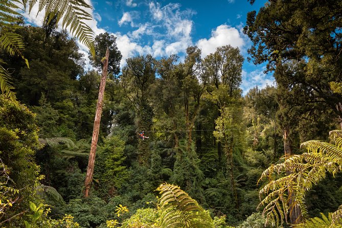 2 Day Rotorua Experience: Waitomo Caves, Maori Culture & Ziplining From Auckland - Accessibility and Special Requirements