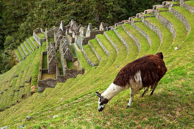 2 Day - Short Inca Trail to Machu Picchu - Private Services - Important Travel Considerations