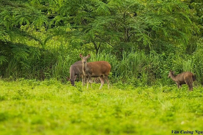 2-Day Trekking & Biking Nam Cat Tien National Park From HCM City - Traveler Reviews and Ratings