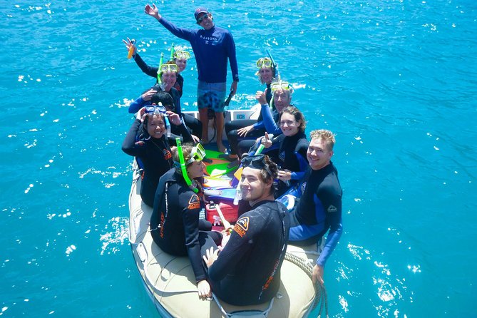 2-Day Whitsundays Sailing Adventure: Summertime - Traveler Feedback and Ratings