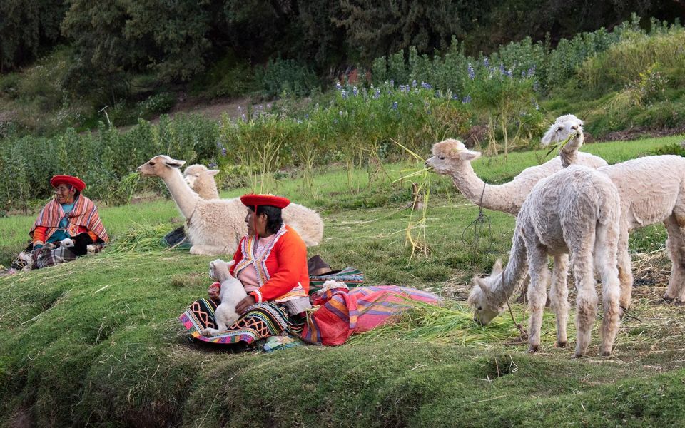 2 Days: City Tour in Cusco and Machupicchu Tour by Train - Transportation and Tickets