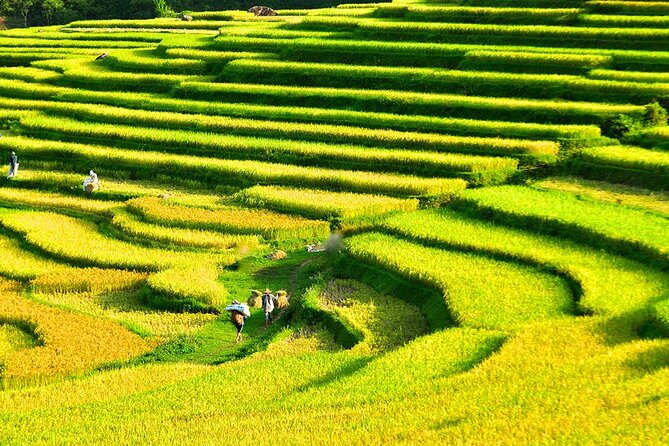 2 Days Pu Luong Offbeat Trekking Best for Mountain Lovers - Pricing Information