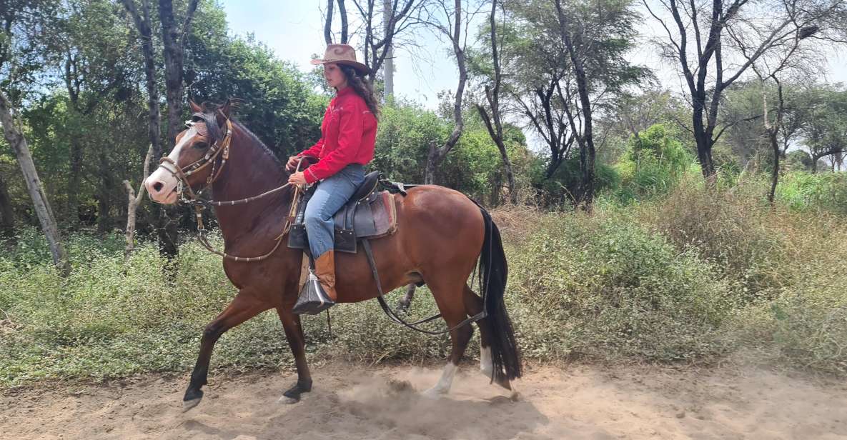 2 Days Tour - Horse Riding / Pyramids of Tucume - Experience Highlights