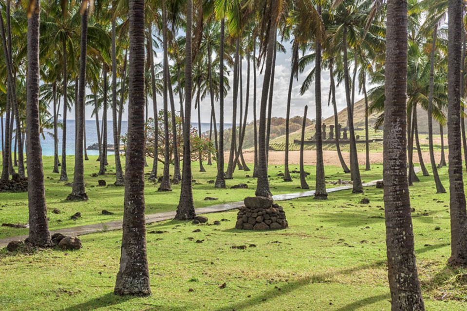 2 Half Days & 2 Full Days Private Tours | OPTION B - Day 3 Trekking Options