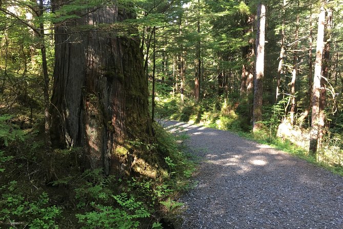2 Hour Alaska Rainforest Walk and Totem Park Small Group Tour - Traveler Reviews