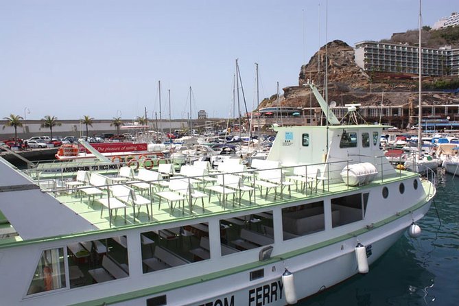 2-Hour Dolphin and Whale Watching in Gran Canaria - Wildlife Sightings and Highlights