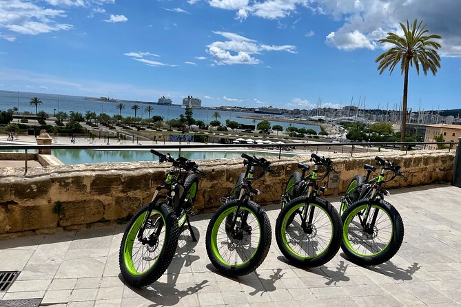 2-Hour Exclusive Fat Tire E-Bike Tour in Palma - Cancellation Policies