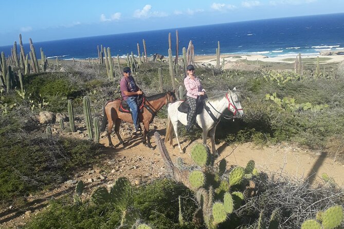 2-Hour Horseback Riding Tour to Little Natural Bridge in Aruba - Customer Reviews