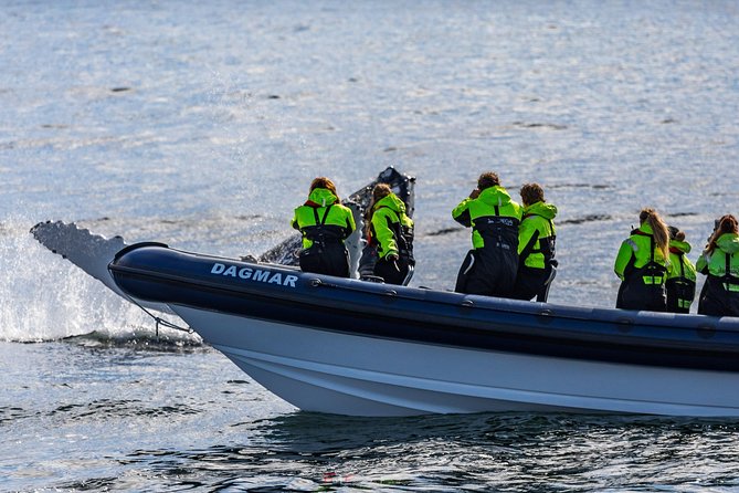 2-Hour RIB Boat Whale Watching Tour From Reykjavik - Reviews and Ratings