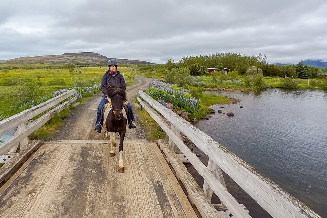 2 Hours Private Horse Riding to Lake Hafravatn, Reykjavík - Mos - Customer Reviews