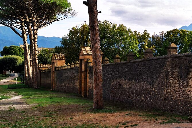 2 Hours Private Tour in Pompeii With Archaeologist - Customer Reviews