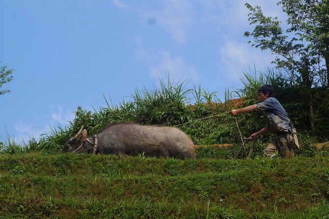 2D1N Buffalo Trek by Hmong Sister House and Trekking - Cancellation Policy