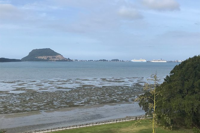 2hr Tauranga City Scenic History Tour - Meeting and Pickup Details