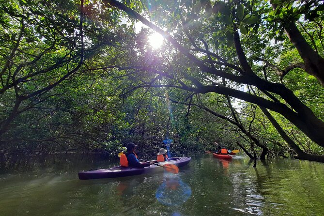 3-4 Hours Mangrove Kayaking Tour - Safety Considerations