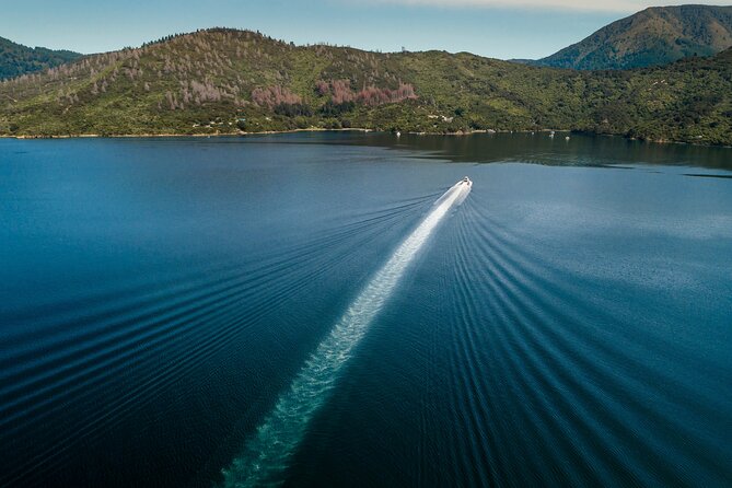 3.5 Hour Marlborough Sounds Delivery Cruise - Meeting and Departure Information