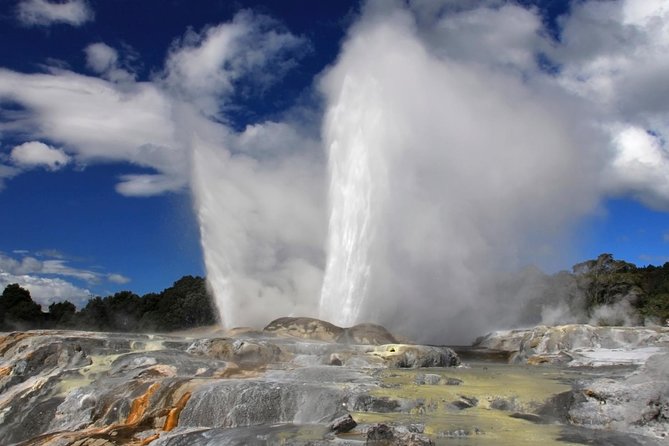 3-Day Wellington to Auckland Tour - Pickup and Drop-off Points
