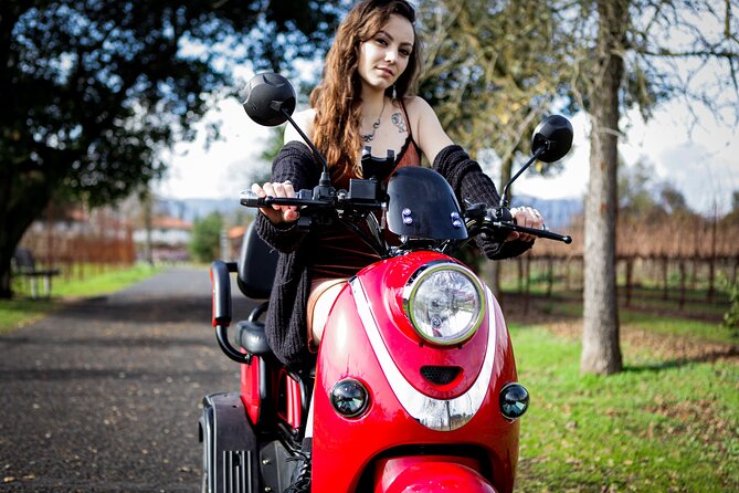 3-Hour Guided Wine Country Tour in Sonoma on Electric Trike - Eco-Friendly Adventure