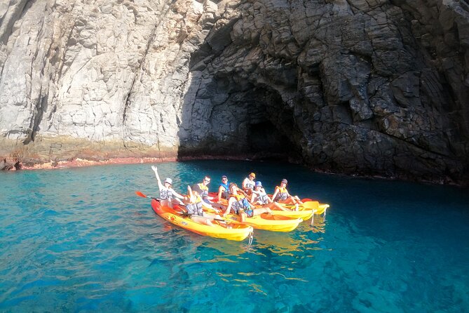3 Hour Kayak and Snorkeling Experience in Tenerife - Customer Feedback Highlights