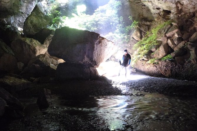 3-Hour Private Photography Tour in Waitomo Caves - What to Expect