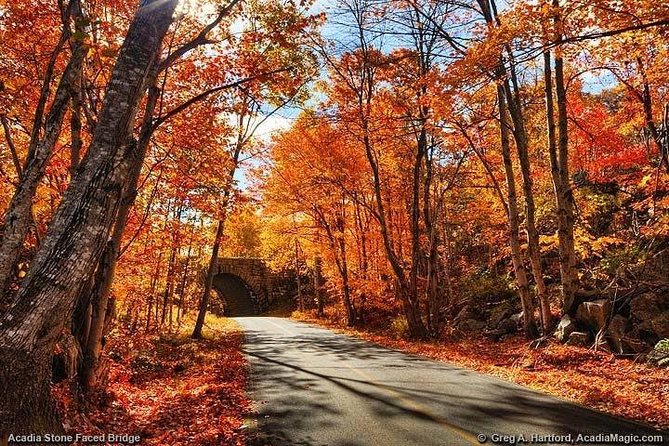 3 Hour Private Tour: Explore All the Top Spots of Acadia! - Pricing and Booking
