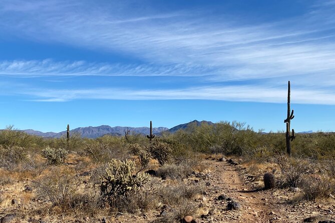 3 Hour Sonoran Desert Private Guided Mountain Bike Tour - Scenic Route Features