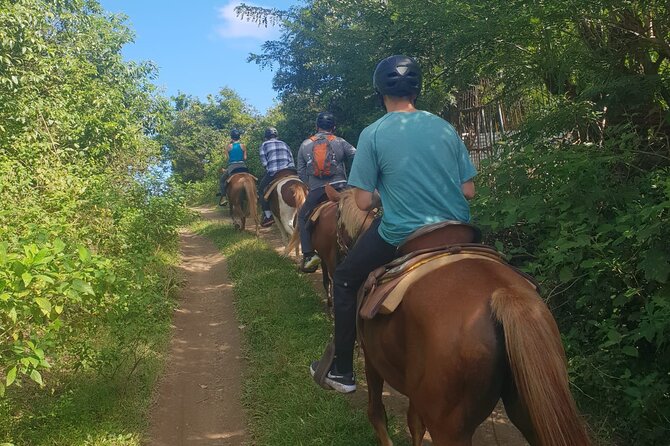 3 Hours Horseback Riding From Nature Trails to Sofa Stone - Booking Information
