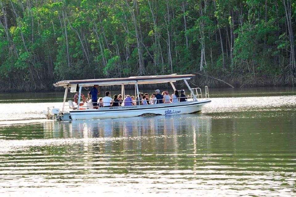 3A Daintree Rainforest, Mossman Gorge & Crocodile Cruise - Inclusions