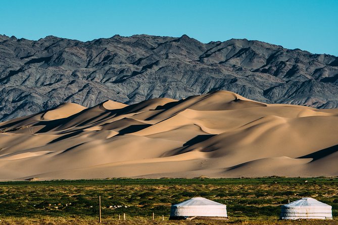 4-Day Mongolia Gobi Desert Tour - Traveler Experiences