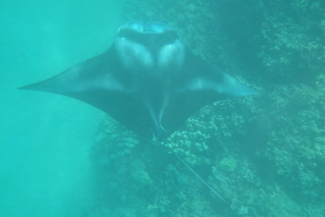 4-hour Kailua-Kona Ocean Kayak and Snorkel Tour - Booking Process