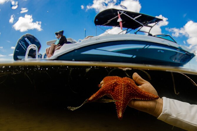 4 Hour Private Boat Charter to Stingray City, Snorkeling and More - Tips for Your Trip