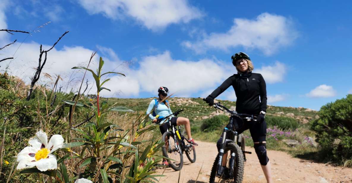 4 Hour Private MTB Enduro Trail Tour in Sintra Mountain - Requirements and Restrictions