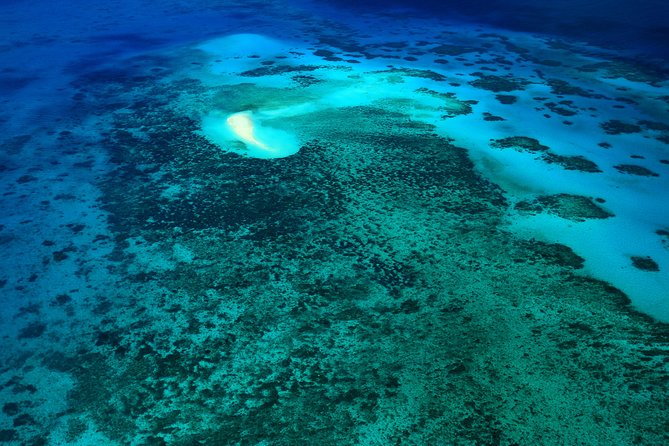 40-Minute Great Barrier Reef Scenic Flight From Cairns - Cancellation Policy