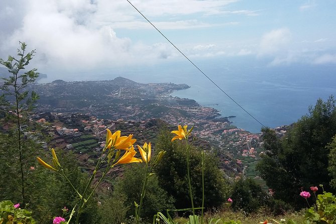 4x4 Safari Half Day Poncha, Mountains, Vineyards and Cabo Girão Small Group - Booking Process