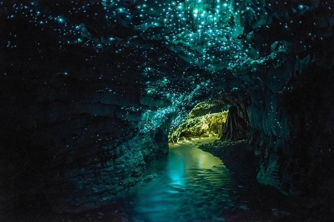 5-Day New Zealand North and South Island Highlights Tour - Traveler Feedback and Reviews