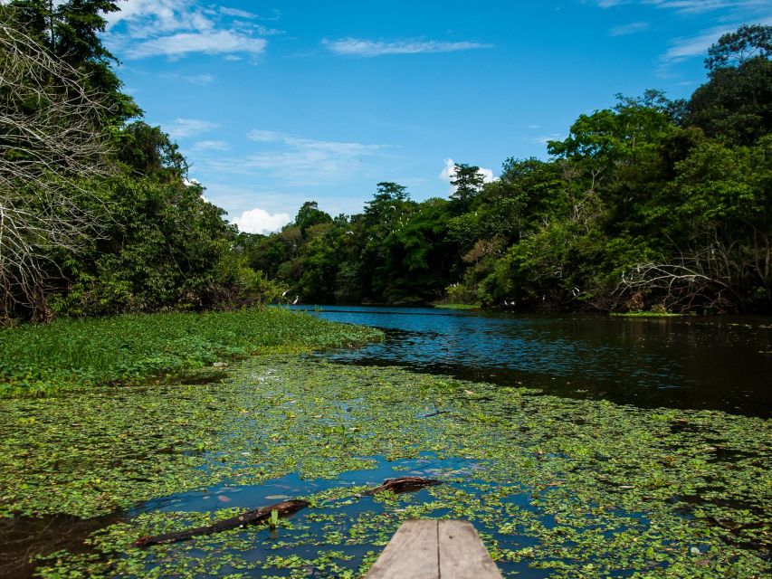 6-Day All Inclusive Guided Jungle Tour From Iquitos - Cultural Immersion