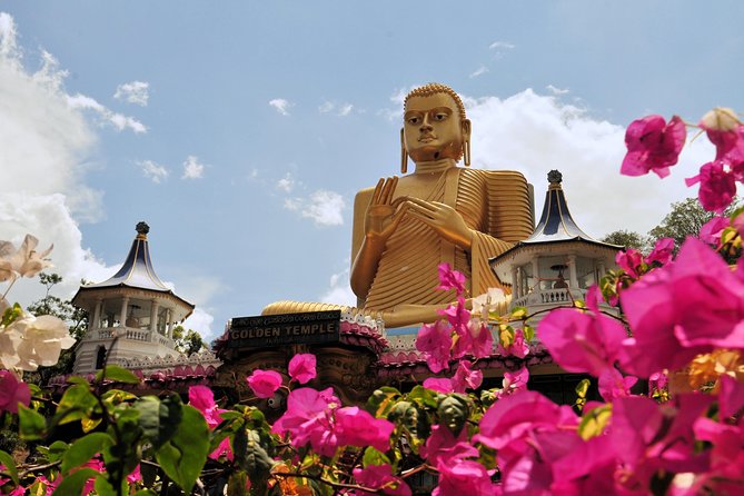 6-Day Sri Lanka Heritage Private Tour - Accommodation and Transportation