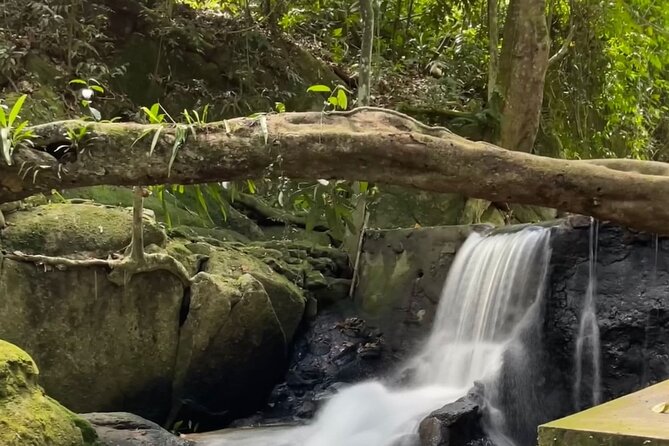 6 Hrs off Road 4x4 Adventure of Hidden Gems in Koh Samui Hills 1 - 4 Persons - Reviews