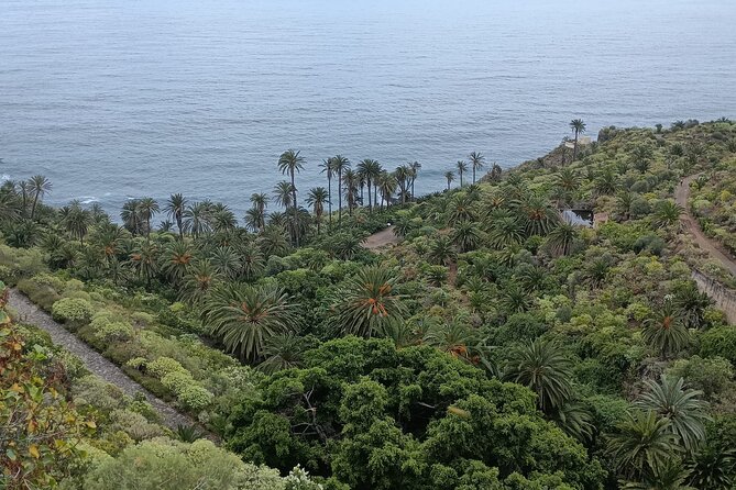 6hrs Private Tour in North Coast of Tenerife - Guide Profiles