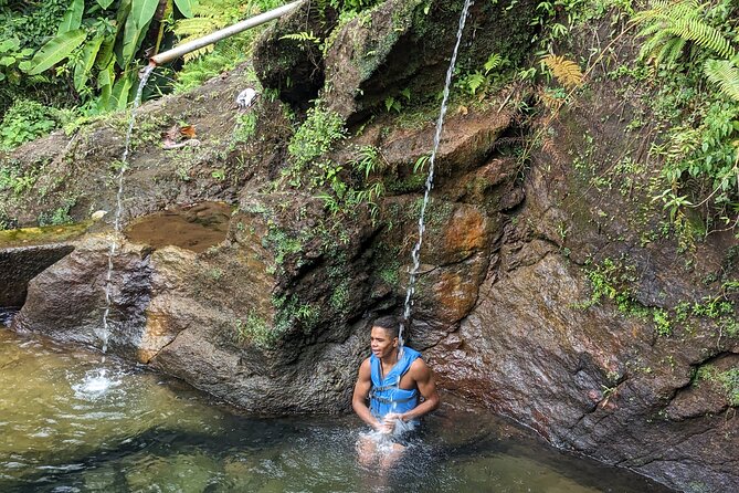 7 Hours Wildlife Discovery Tour in Dominica - Customer Reviews and Feedback