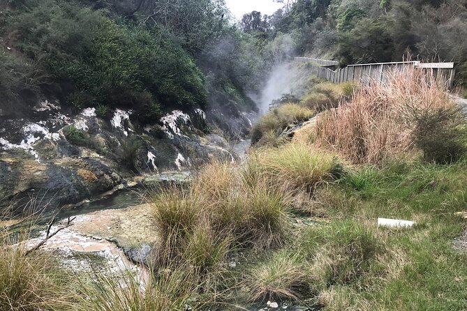 7hr Waimangu Geothermal Valley & Lake Rotomahana Tour - Departs Tauranga - Pricing and Booking