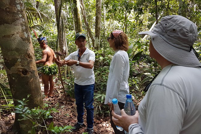 8-Hour Amazonas Jungle Treck & Anavilhanas Archipelago - Travel Tips and Recommendations