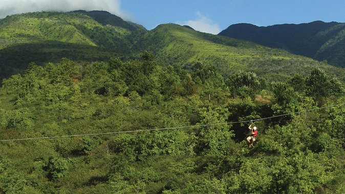 8 Line Kaanapali Zipline Adventure on Maui - Customer Experiences and Feedback