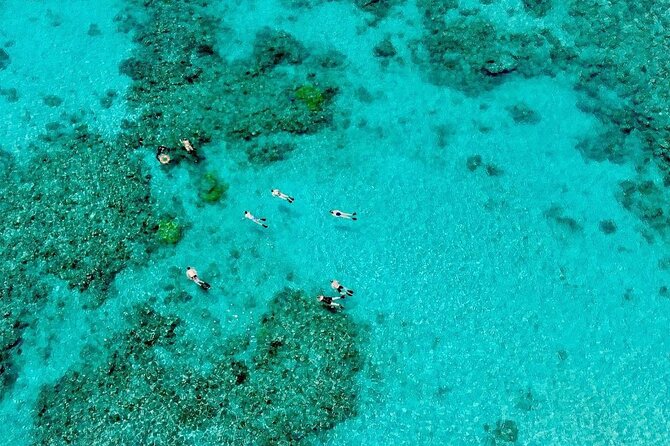 ABC Snorkel Charters Port Douglas Snorkelling Max 12 Passengers - Safety and Accessibility