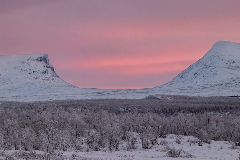 Abisko National Park: Scenic Morning Hike With Transfer - Safety and Accessibility