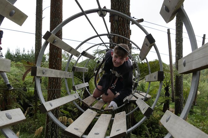 Adrenalin Forest Obstacle Course in Christchurch - Guest Reviews and Experiences