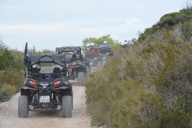 Adrenaline Quad Safari Tour - Tour Company and Reviews