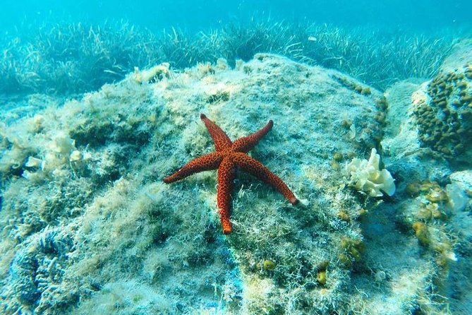 Adventure Sailing 3-Night Trip From Dubrovnik on the Huck Finn Catamaran - Group Size and Accessibility