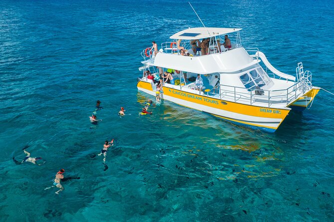 Afternoon Half Day Cruise From Providenciales With Snorkeling and Iguana Island - Pickup and Return Details