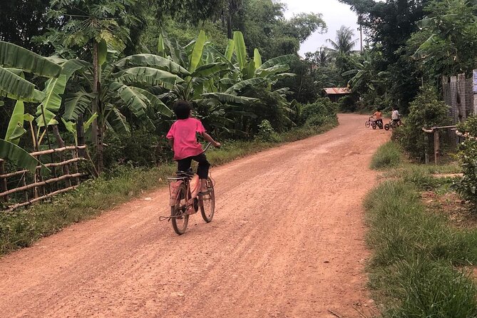 Afternoon Tour by Tuk Tuk to Bamboo Train,Bat Cave,Killing Cave,Countryside. - Witnessing the Bat Cave Spectacle