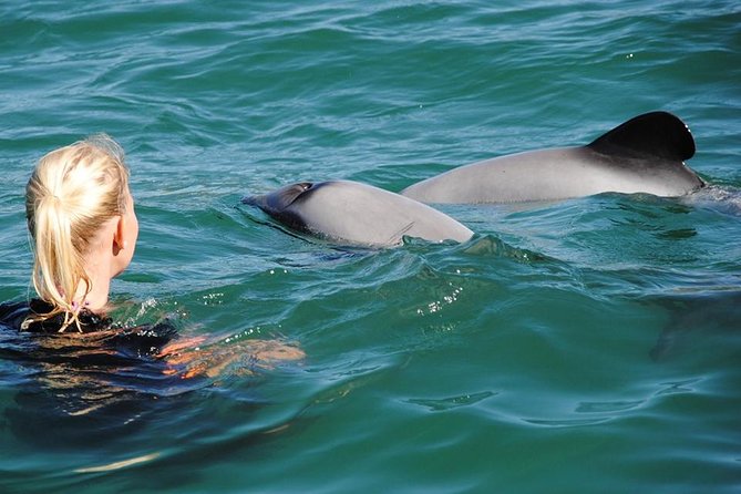 Akaroa and Banks Peninsula Small Group Tour (Nature Cruise or Dolphin Swim) - Tour Inclusions and Benefits